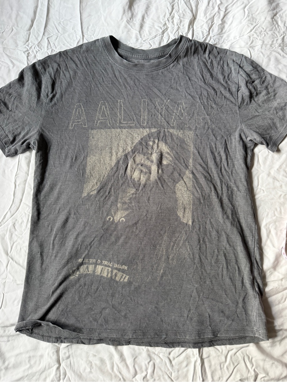 Vintage-Style Gray Graphic Tee - Crew Neck Short Sleeve